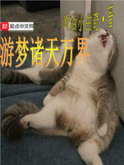 疯狂伦交2完整版