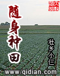 泰米时空