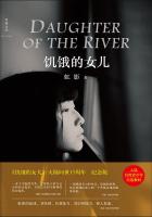 李兵小说