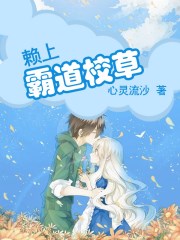 免费100视频在线播放器