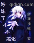 七妺导航