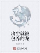 隐形将军剧情分集介绍