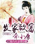 dvd8090cnm澳美大片