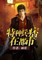 都市少帅txt全集下载