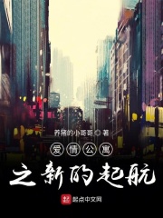 海贼王之美女后宫