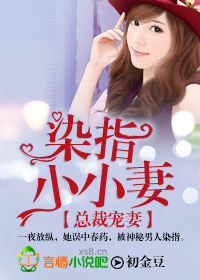 雯雅婷漫画百度云