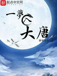 尹向晚靳夜擎小说