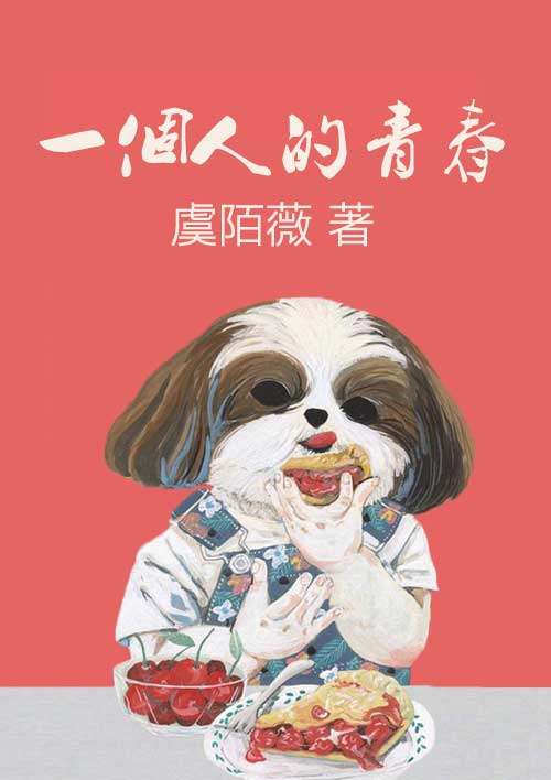 电视剧当家主母多少集