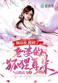 铠甲勇士2