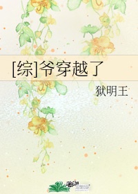 Zoom与人马性Zoom的区别