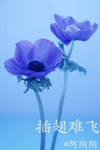 全部视频列表uc安卓国产