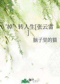 最终幻想 零式