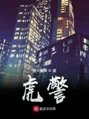 神偷奶爸2
