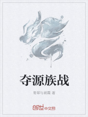 新世纪动漫网