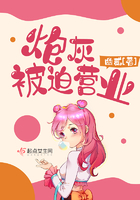 嫌疑人x的献身txt