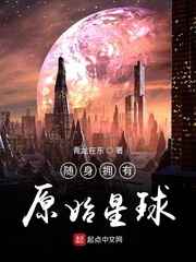 野鸡网二区