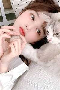 猫咪地址kb355