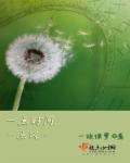 月华玫瑰杀