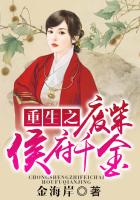 守护骑士