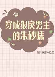 超级碰碰97站视频 免费