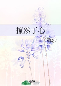 ccvt13在线直播