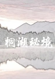 白小飞