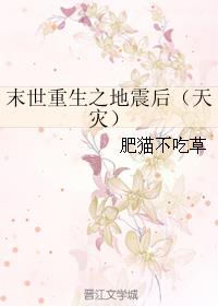 北京卫视直播