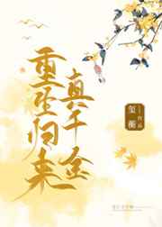 无极bt