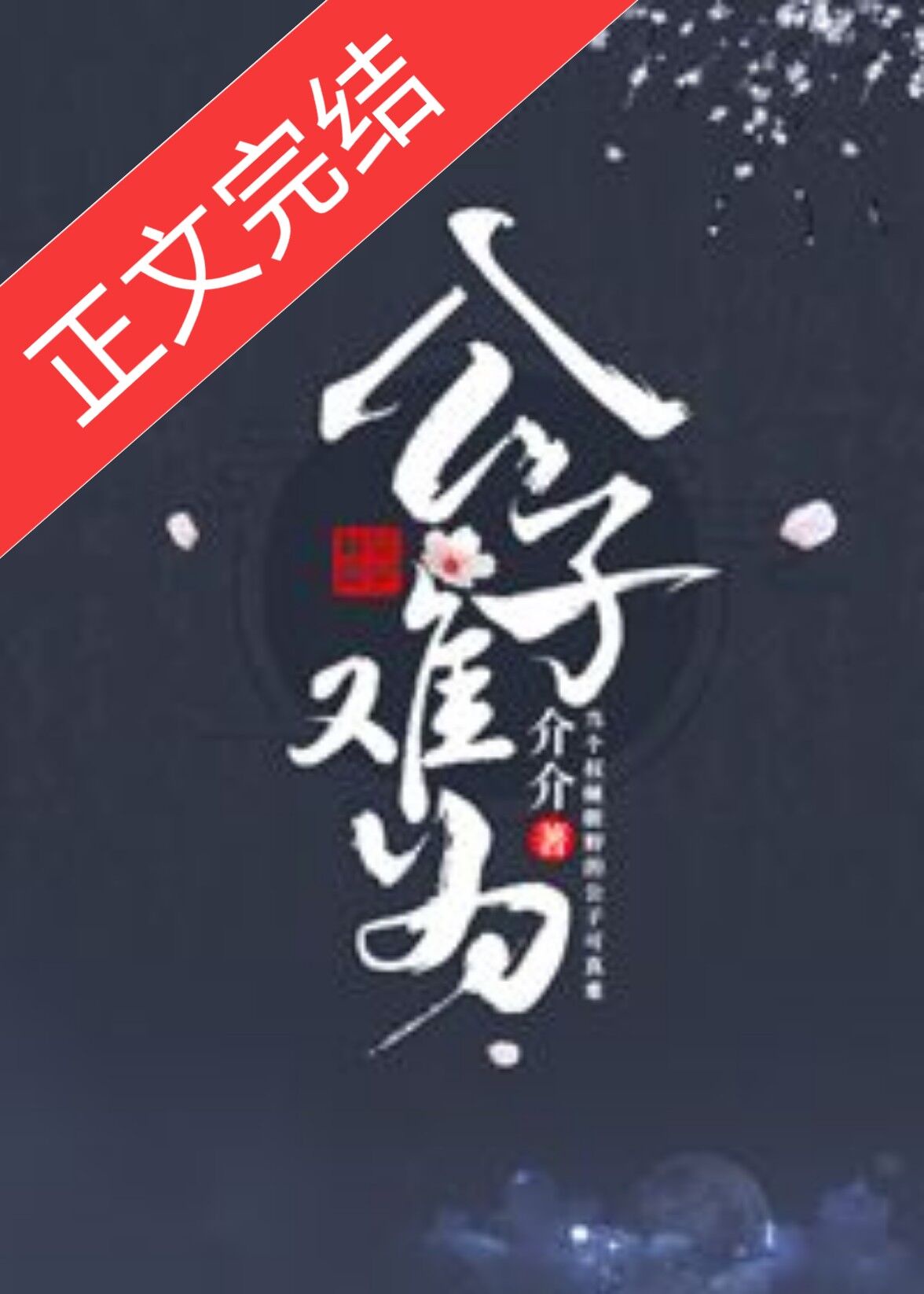 宁愿许愿全文阅读