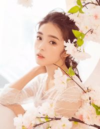 奢侈折火一夏小说