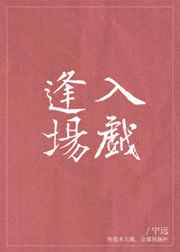 videojapan日本连裤袜