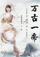 神医弃女叶凌月全文免费阅读无弹窗