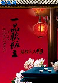 类似乡村大凶器的小说