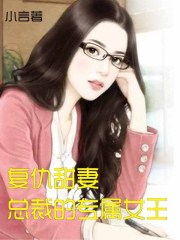 西北有高楼小说