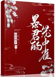 猎鹰行动
