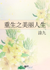 美国理论片