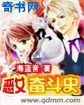 喵咪官网首页
