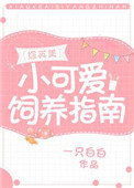 诸葛青云