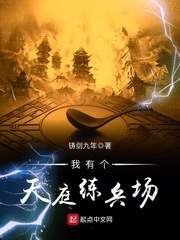 西北有高楼小说