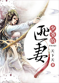 五十度飞小说在线阅读