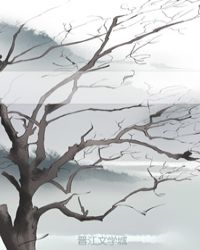王妃快跑晋王他心眼超多