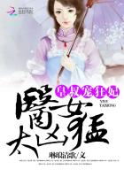 2024韩国剧情福影视