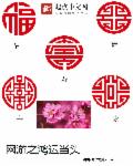 奔跑吧兄弟限制版