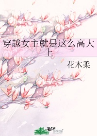 青柠檬导航