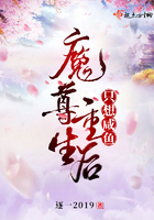茶杯狐官网