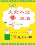 漂亮的阿姨电影