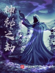 全职高手电视剧西瓜影音