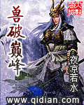 云窗办照