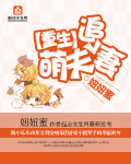 桃花村的女人们全本免费