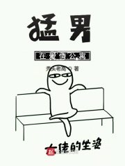 失落的大陆免费观看
